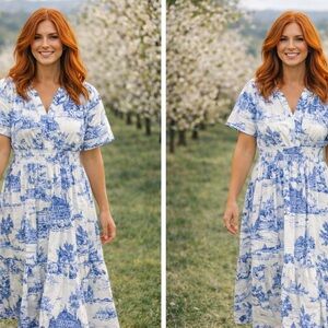 Umgee Blue and White Scenic Print Maxi Dress